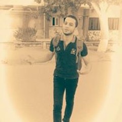 Mohamed R Saif