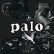 Palo Alto Lost Boys