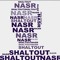 Nasr Eldin Shaltout