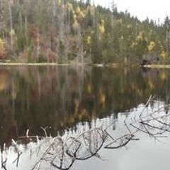 Šimon Říha