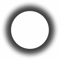 organograma