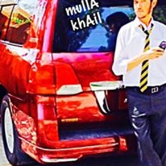Zia Mullakhail