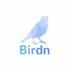 Birdn