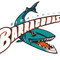Barracudas