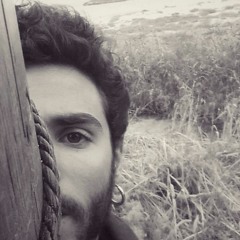 alon shoham