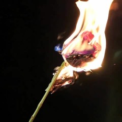 w4570666