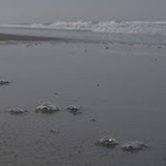 scapefroth