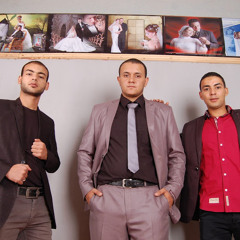 hamed zedan