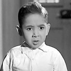 taha elmahdy