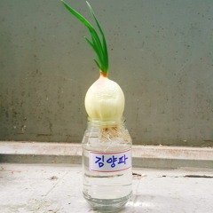 삶의 층계에서 - 이해인