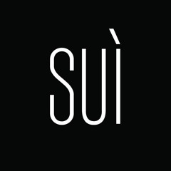 SUÌ fine geometry