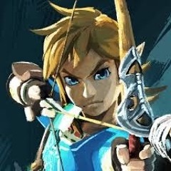 HylianKnight