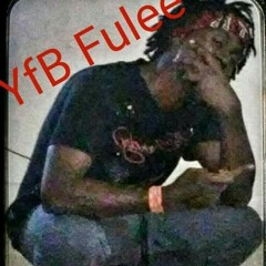 YfB Fulee