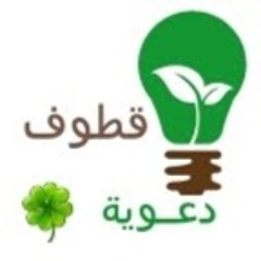 qutuf daeawia