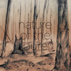 Nature of the Pure