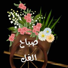 Salah Gadalla