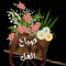 Salah Gadalla