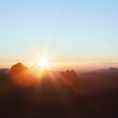 Amin Sidi-Boumédiène