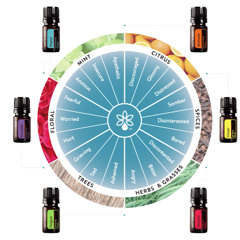 The Essential Farmer