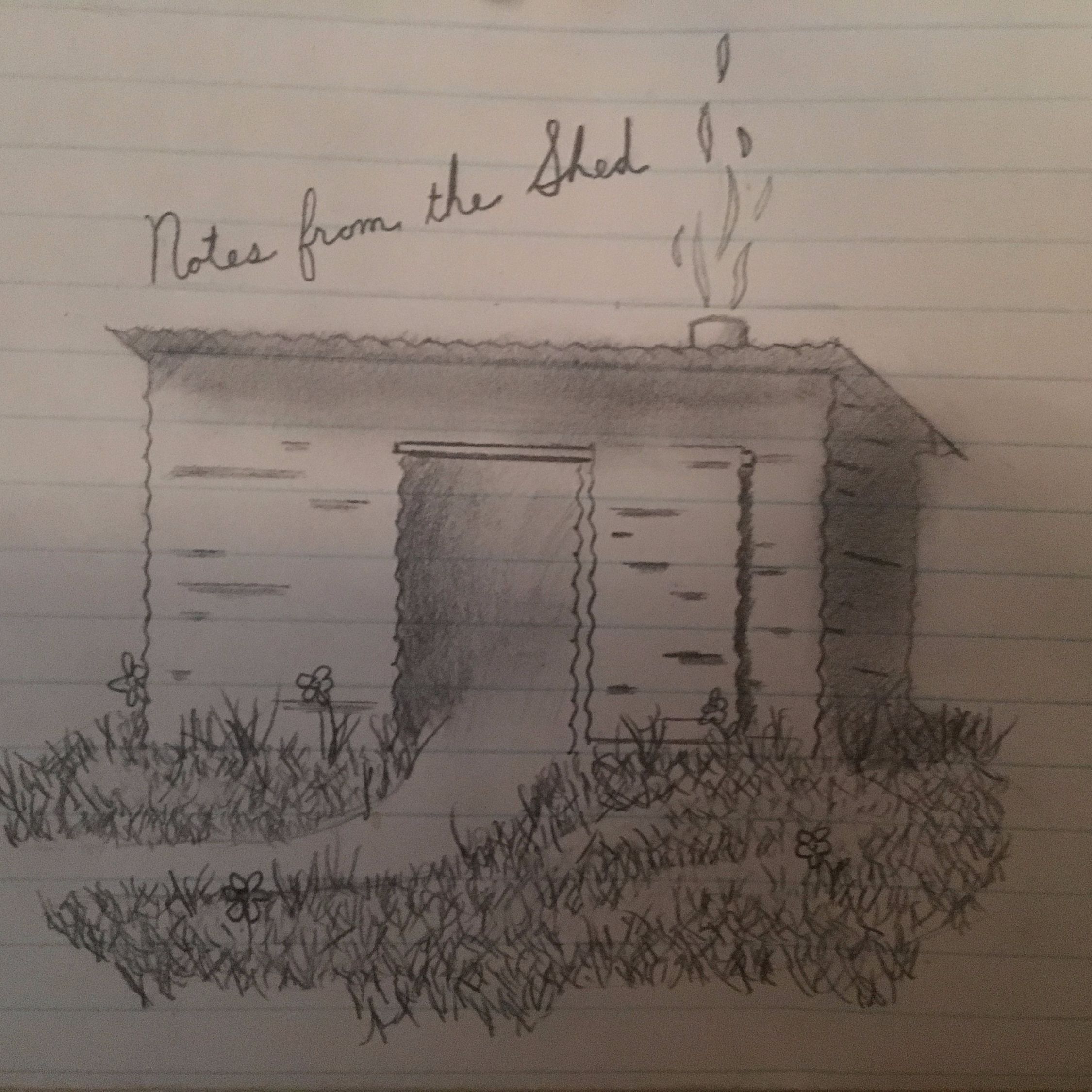 Notes From The Shed cover art