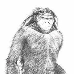 Yeti_loner