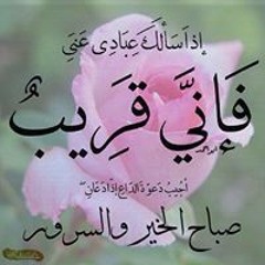Dr Ahmed