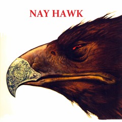 NAY HAWK