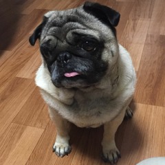 ぴまん