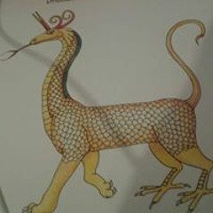 NimaZOkami