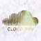 CLOUD 999