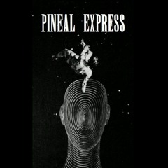 Pineal Express