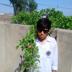 MOhmammad Arif Akhter