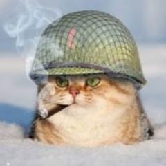Griffid Warcat