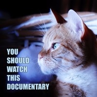 You Should Watch This Documentary S Stream