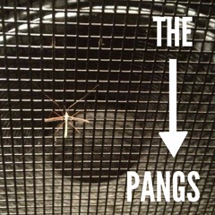 The Pangs