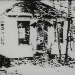 SHE WORE A CROWN OF FLIES