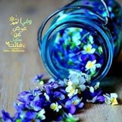 Marwa Engaz