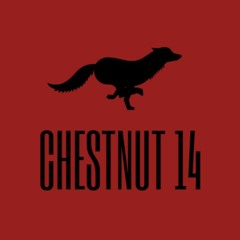 Chestnut 14