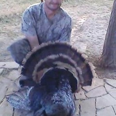 Jason McCullar