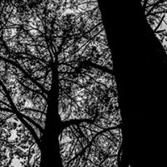 Roberto Daniel Ochoa