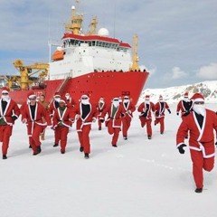 Royal Arctic Navy