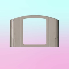 Memory Cartridge