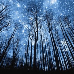 Cameron Mackie X Angus Teeton