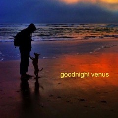 Goodnight Venus