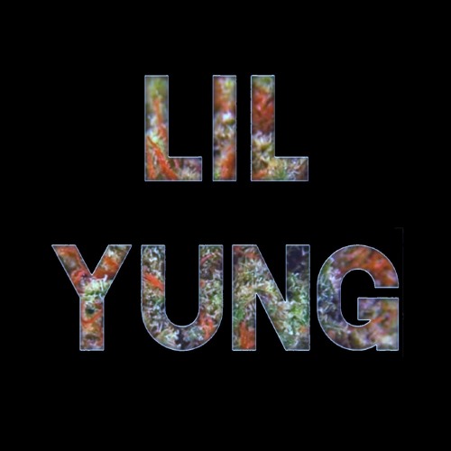 LIL YUNG’s avatar