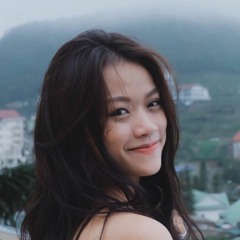 Mai Vu Hoang