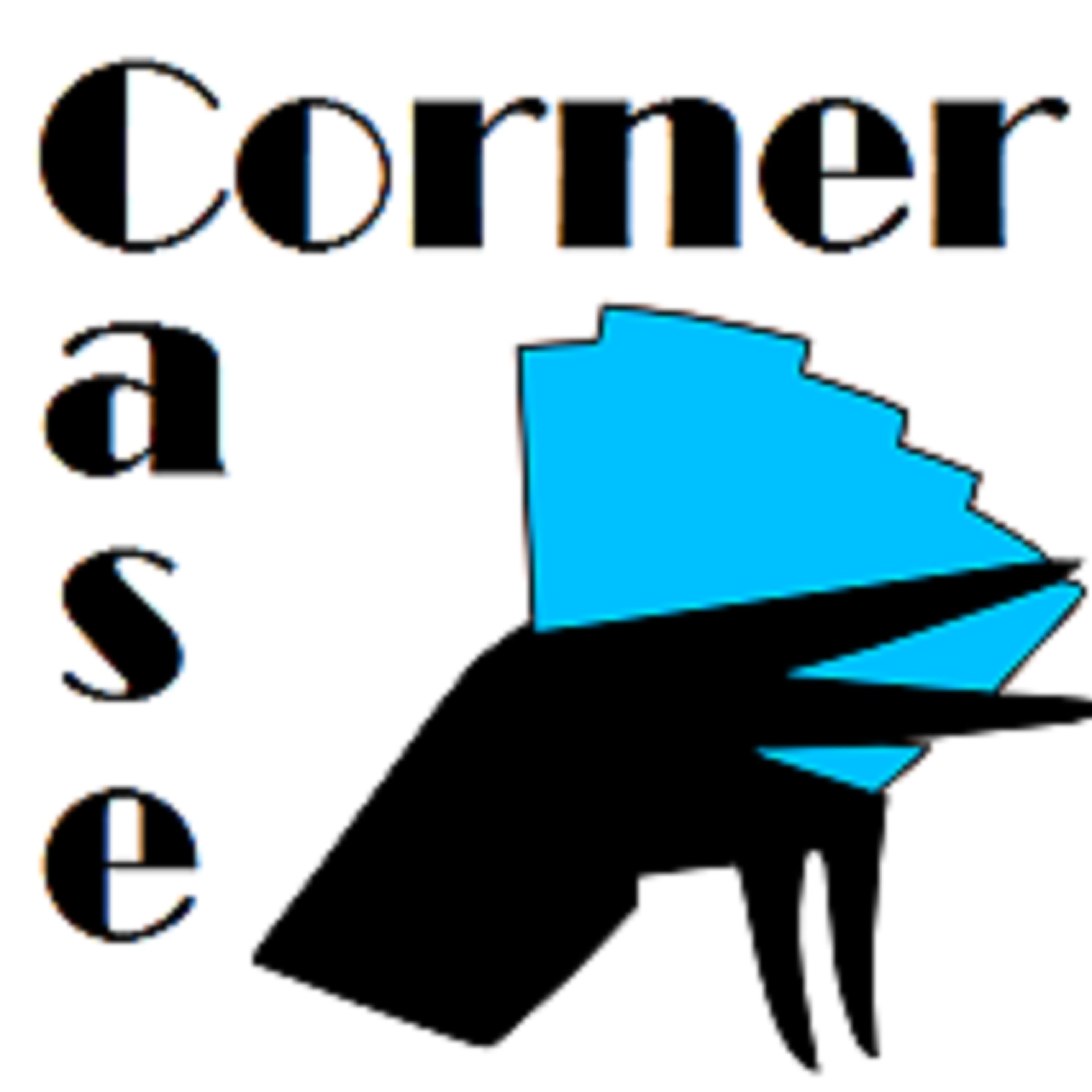 Corner Case