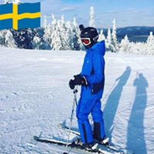 Samuel Magnusson’s avatar