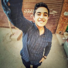 Mohamed Elesnawi