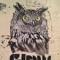 Owls Recording